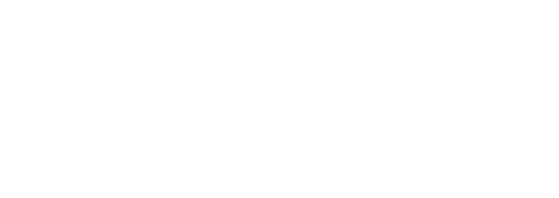 Tiendanube Partner Blue Titanium